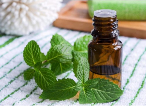 تصویر 3 از خرید و قیمت عرق نعناع سنتی درجه ۱ + فروش عمده